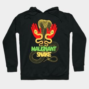 evil snake, sinister symbol: extroverted colors Hoodie